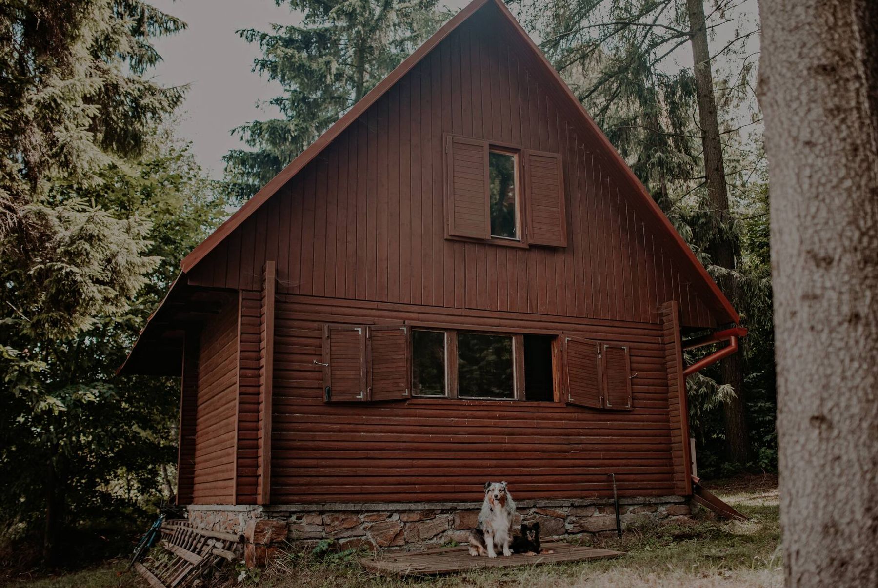 Dřevěná chata s ostrou sedlovou střechou mezi stromy